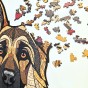 Zbliżenie na nieregularne elementy puzzli drewnianych Owczarek Niemiecki., puzzle dla dorosłych marka mruupruu, trudne puzzle drewniane