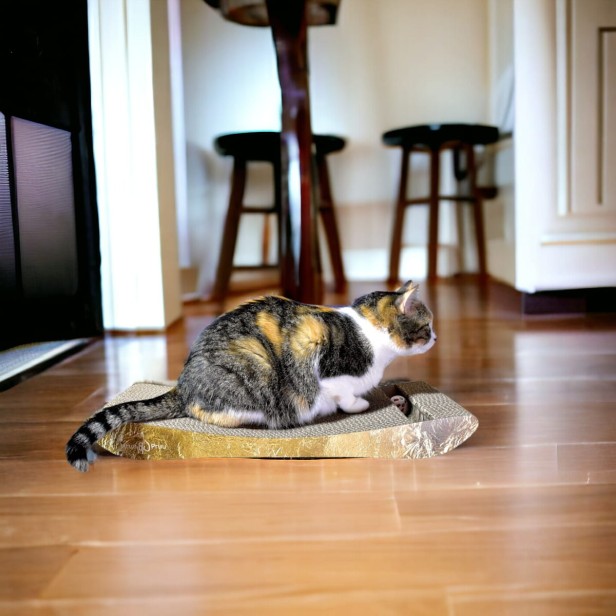 PREMIUM Gold Karton Katze Kratzer, Premium-Katze Kratzer, umweltfreundliche Katze Kratzer, Gold Katze Kratzer, Kratzer