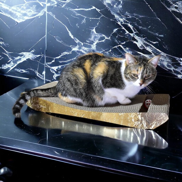 PREMIUM Gold Karton Katze Kratzer, Premium-Katze Kratzer, umweltfreundliche Katze Kratzer, Gold Katze Kratzer, Kratzer