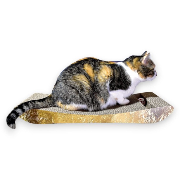PREMIUM Gold Karton Katze Kratzer, Premium-Katze Kratzer, umweltfreundliche Katze Kratzer, Gold Katze Kratzer, Kratzer