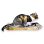 PREMIUM Gold Karton Katze Kratzer, Premium-Katze Kratzer, umweltfreundliche Katze Kratzer, Gold Katze Kratzer, Kratzer