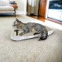 PREMIUM grauer Karton Katzenkratzer, hochwertiger Katzenkratzer, umweltfreundlicher Katzenkratzer, grauer Katzenkratzer, Kratzer