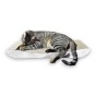 PREMIUM grauer Karton Katzenkratzer, hochwertiger Katzenkratzer, umweltfreundlicher Katzenkratzer, grauer Katzenkratzer, Kratzer