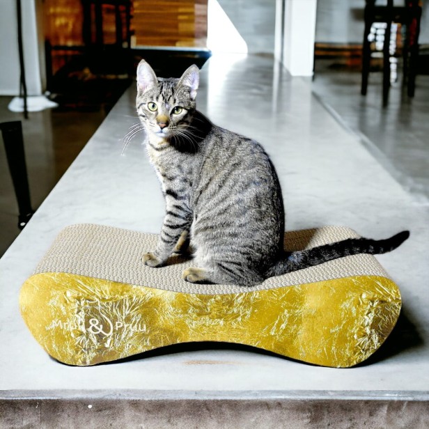 großer Katzenkratzer , Katzenkratzer aus Pappe , goldener Katzenkratzer , Katzenkratzer aus Pappe , Maße des Katzenkratzers 70 x 23 x 25 cm , Katzenkratzer , Katzenkratzer aus Pappe , goldener Katzenkratzer premium , goldener Katzenkratzer , mruupruu